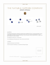 1.25 Ct.Tw.Total Carat Weight Sapphire Studs Earrings, 14K White Gold Appraisal