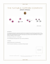 0.80 Ct.Tw.Total Carat Weight Pink Sapphire Studs Earrings, 14K White Gold Appraisal