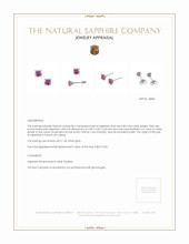 0.85&nbsp;Ct.Tw.Total Carat Weight Pink Sapphire Studs Earrings, 14K White Gold Appraisal