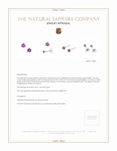0.60 Ct.Tw. Pink Sapphire Studs Earrings, 14K White Gold Appraisal