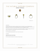 1.50 Ct. Bi Color / Parti Sapphire and Greenish Yellow Sapphire Accent Stones Ring, 14K White Gold Appraisal