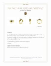 0.99 Ct. Bluish Green Sapphire and Blue Sapphire Men's Ring, 14K Yellow Gold Appraisal