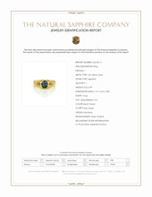 0.99 Ct. Bluish Green Sapphire and Blue Sapphire Men's Ring, 14K Yellow Gold Scan Report