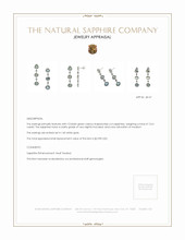 13.41 Ct.Tw.Total Carat Weight Bluish Green Sapphire Accent Stones Earrings, 14K White Gold Appraisal