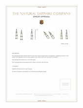 12.69 Ct.Tw. Multi Color Sapphire Accent Stones Earrings, 14K White Gold Appraisal