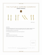 16.98 Ct.Tw. Multi Color Sapphire Antique Style Earrings, 18K Yellow Gold Appraisal