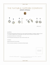 17.47 Ct.Tw.Total Carat Weight Multi Color Sapphire Accent Stones Earrings, 14K White Gold Appraisal