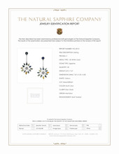 17.47 Ct.Tw.Total Carat Weight Multi Color Sapphire Accent Stones Earrings, 14K White Gold Scan Report