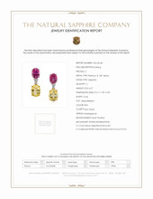 6.57 Ct.Tw. Mixed Sapphire and Natural Diamond Accent Stones Earrings, Platinum & 18K Yellow Scan Report