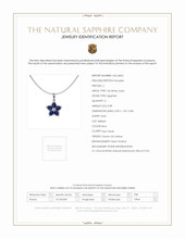 0.89 Ct. Blue Sapphire and Natural Diamond Accent Stones Pendant, 14K White Gold Scan Report