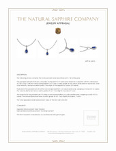 0.75 Ct. Blue Sapphire and Natural Diamond Pave Pendant, 14K White Gold Appraisal
