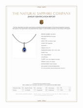 0.75 Ct. Blue Sapphire and Natural Diamond Pave Pendant, 14K White Gold Scan Report