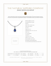 0.75 Ct. Blue Sapphire and Natural Diamond Pave Pendant, 14K White Gold Scan Report