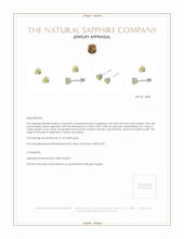 0.60 Ct.Tw. Yellow Sapphire Studs Earrings, 14K White Gold Appraisal