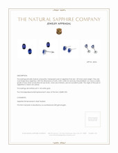 1.00 Ct.Tw.Total Carat Weight Blue Sapphire Studs Earrings, 14K White Gold Appraisal