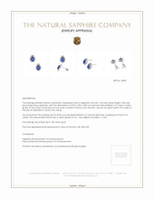 1.00 Ct.Tw.Total Carat Weight Blue Sapphire and Natural Diamond Studs Earrings, 18K White Gold Appraisal