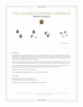 1.00 Ct.Tw.Total Carat Weight Blue Sapphire and Natural Diamond Studs Earrings, 18K White Gold Appraisal