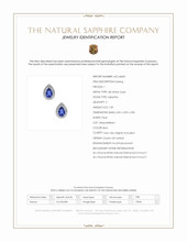 1.00 Ct.Tw.Total Carat Weight Blue Sapphire and Natural Diamond Pave Earrings, 18K White Gold Scan Report