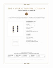 0.20 Ct.Tw.Total Carat Weight Blue Sapphire and Natural Diamond Pave Earrings, 14K Yellow Gold Scan Report