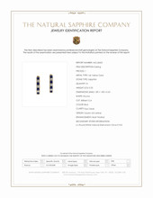 0.20 Ct.Tw.Total Carat Weight Blue Sapphire and Natural Diamond Pave Earrings, 14K Yellow Gold Scan Report