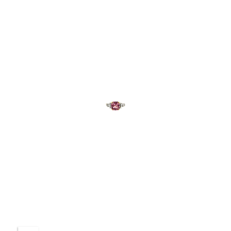 Jewelry image on model