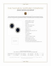 6.51 Ct.Tw.Total Carat Weight Blue Sapphire and Natural Diamond Pave Earrings, 18K White Gold Scan Report