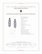 39.05 Ct.Tw.Total Carat Weight Blue Sapphire and Natural Diamond Accent Stones Earrings, Platinum 950 Scan Report