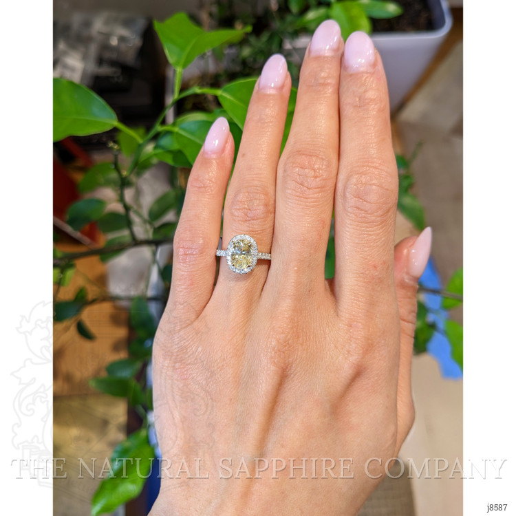 1.77 Ct. Yellow Sapphire and Natural Diamond Pave Ring, 18K White & Yellow