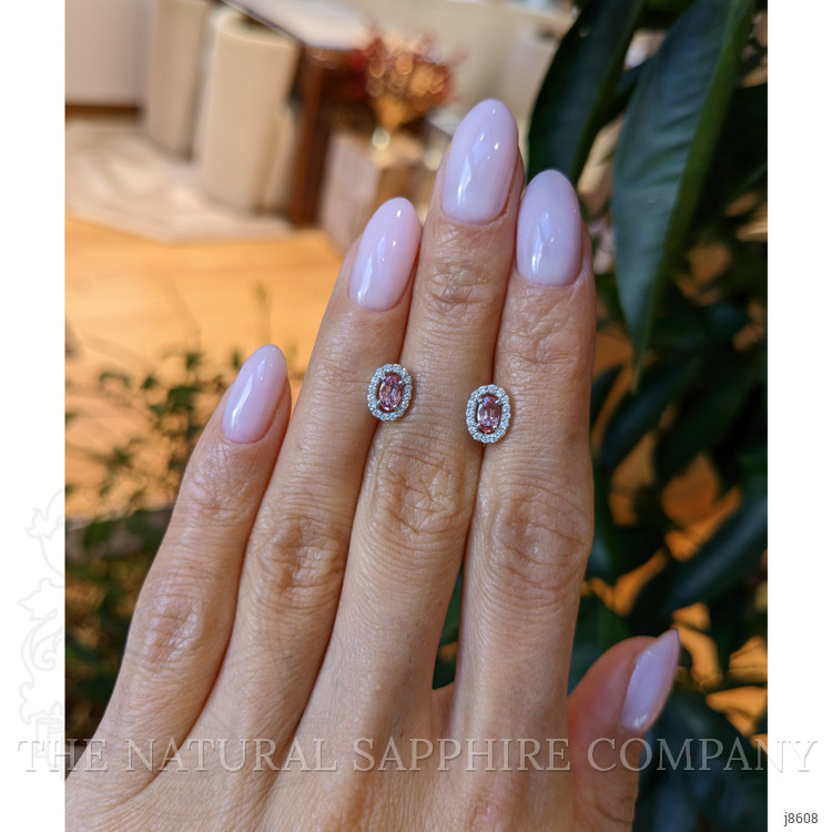 0.65 Ct.Tw. Pink Sapphire and Natural Diamond Pave Earrings, 14K White Gold