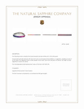 26.78 Ct.Tw. Multi Color Sapphire Tennis/Riviere Bracelet, 18K White Gold Appraisal