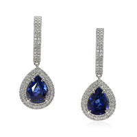 5.37 Ct.Tw. Blue Sapphire and Natural Diamond Pave Earrings, 18K White Gold Video