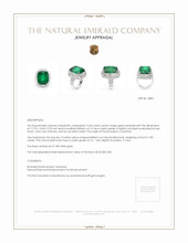 14.54 Ct. Emerald Natural Diamond Antique Style Ring, 18K White Gold Appraisal