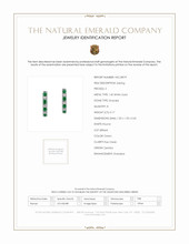 0.17 Ct.Tw. Emerald Natural Diamond Hoops Earrings, 14K White Gold Scan Report