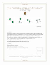 1.00 Ct.Tw. Emerald Natural Diamond Halo Earrings, 18K White Gold Appraisal
