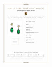 18.98 Ct.Tw. Emerald Natural Diamond Earrings, Platinum 950 Scan Report