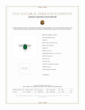 0.97 Ct. Emerald and Diamond Ring, 18K White Gold Scan Report