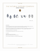 3.19 Ct.Tw.Total Carat Weight Blue Sapphire and Natural Diamond Accent Stones Earrings, 18K White Gold Appraisal