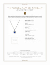 1.07 Ct. Blue Sapphire and Natural Diamond Pave Pendant, 18K White Gold Scan Report