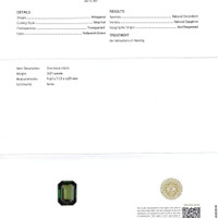 3.01 Ct. Yellowish Green Sapphire and Natural Diamond Pave Ring, Platinum 950 Scan Report