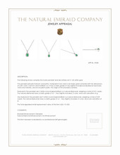 0.46 Ct. Emerald Natural Diamond Halo Pendant, 14K White Gold Appraisal