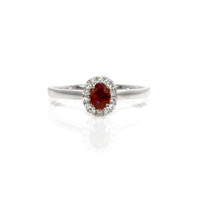 0.38 Ct. Ruby Natural Diamond Pave Ring, 18K White Gold Video