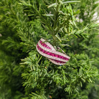 0.81 Ct. Ruby Natural Diamond Pave Ring, 18K White Gold Image