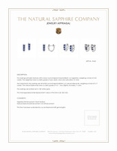 0.52 Ct.Tw. Blue Sapphire and Natural Diamond Pave Earrings, 18K White Gold Appraisal