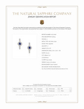 0.25 Ct.Tw.Total Carat Weight Blue Sapphire and Natural Diamond Pave Earrings, 18K White Gold Scan Report