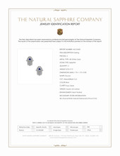 0.10 Ct.Tw.Total Carat Weight Blue Sapphire and Natural Diamond Pave Earrings, 18K White Gold Scan Report