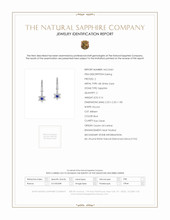 0.16 Ct.Tw. Blue Sapphire and Natural Diamond Hoops Earrings, 18K White Gold Scan Report