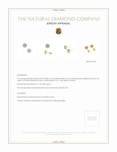 0.64&nbsp;Ct.Tw.Total Carat Weight Natural Diamond Studs Earrings, 18K Yellow Gold Appraisal