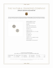 0.64 Ct.Tw.Total Carat Weight Natural Diamond Studs Earrings, 18K Yellow Gold Scan Report