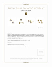 0.40 Ct.Tw. Natural Diamond Studs Earrings, 18K Yellow Gold Appraisal