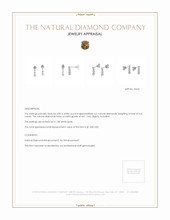 0.41 Ct.Tw. Natural Diamond Accent Stones Earrings, 18K White Gold Appraisal